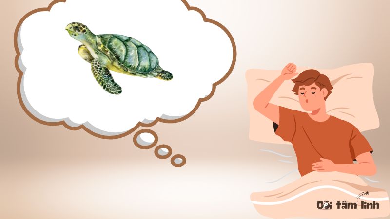 Mơ thấy bắt được ba ba là điềm gì?