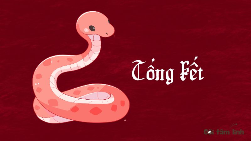 Tổng kết tử vi tuổi Tỵ năm 2025