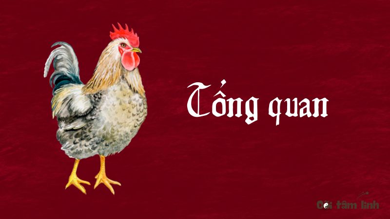 Tổng quan