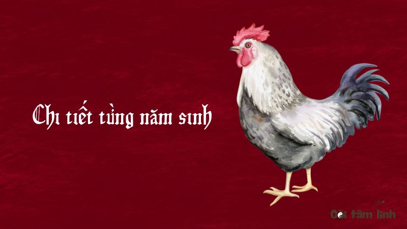 Tử vi tuổi Dậu 2025