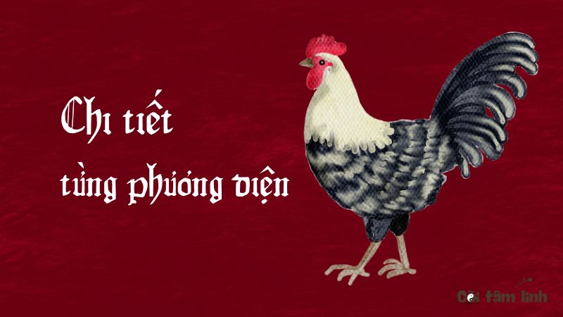 Tử vi tuổi Dậu 2025