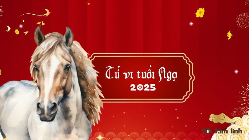Tử vi tuổi Ngọ 2025