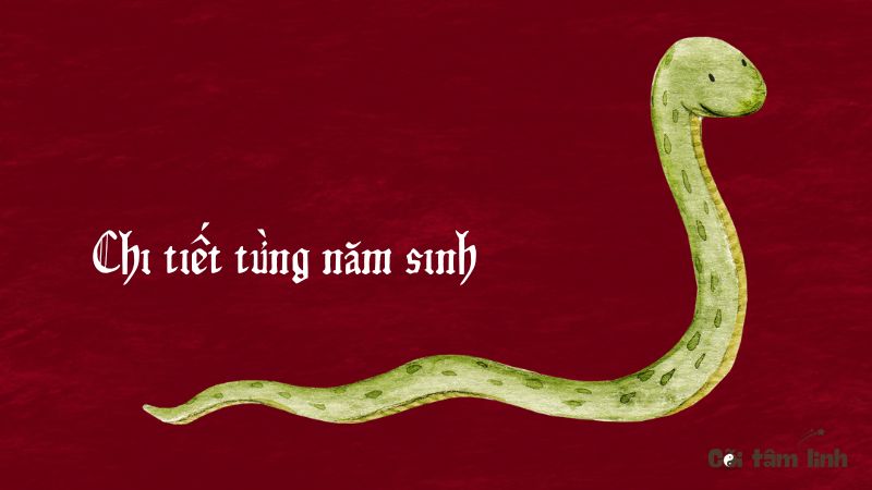 Tử vi tuổi Tỵ 2025