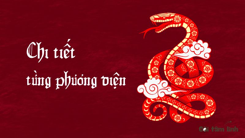 tử vi tuổi Tỵ năm 2025 từng phương diện