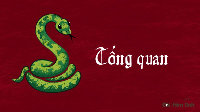 Tổng quan