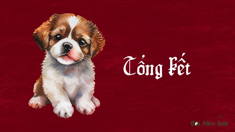 Tử vi tuổi Tuất 2025