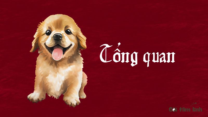 Tổng quan