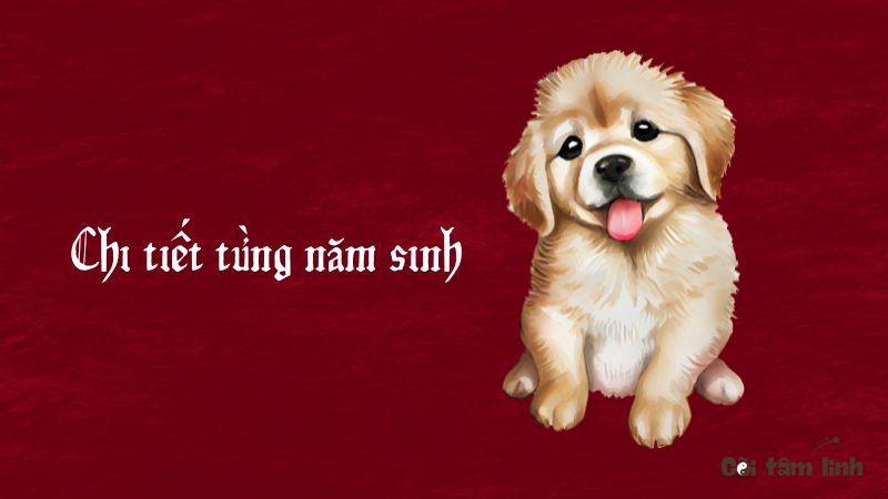 Tử vi tuổi Tuất năm 2025