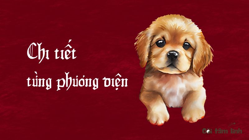 Tử vi tuổi Tuất năm 2025
