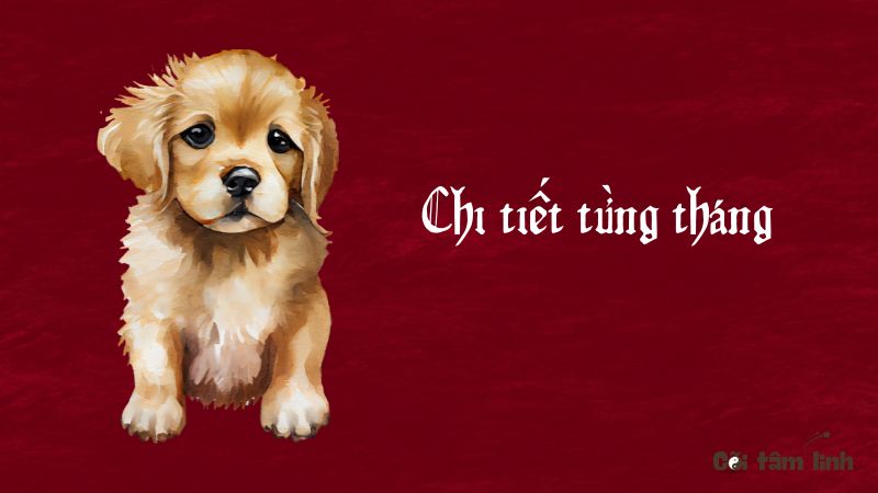 Tử vi tuổi Tuất 2025