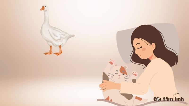 Mơ thấy vịt trắng